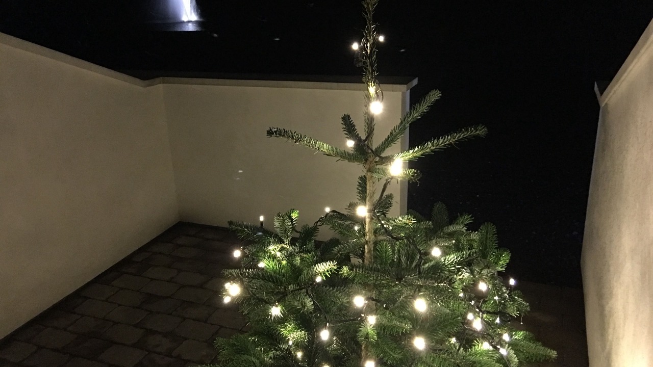 Photo of Others in Vejle