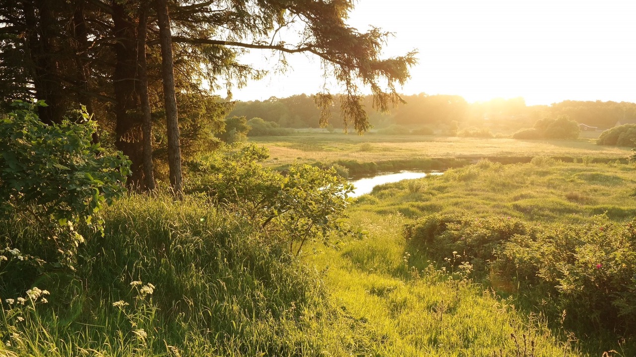 Photo of Others in Sig