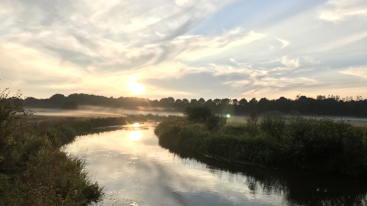 Photo of Others in Sig