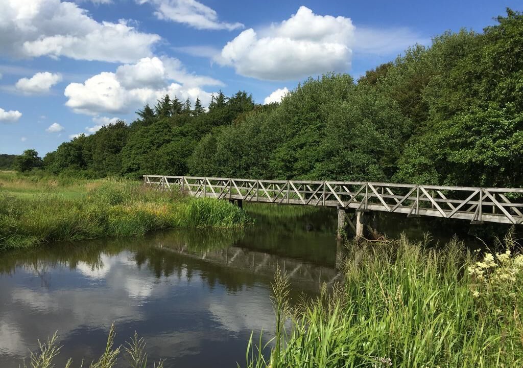 Photo of Others in Sig