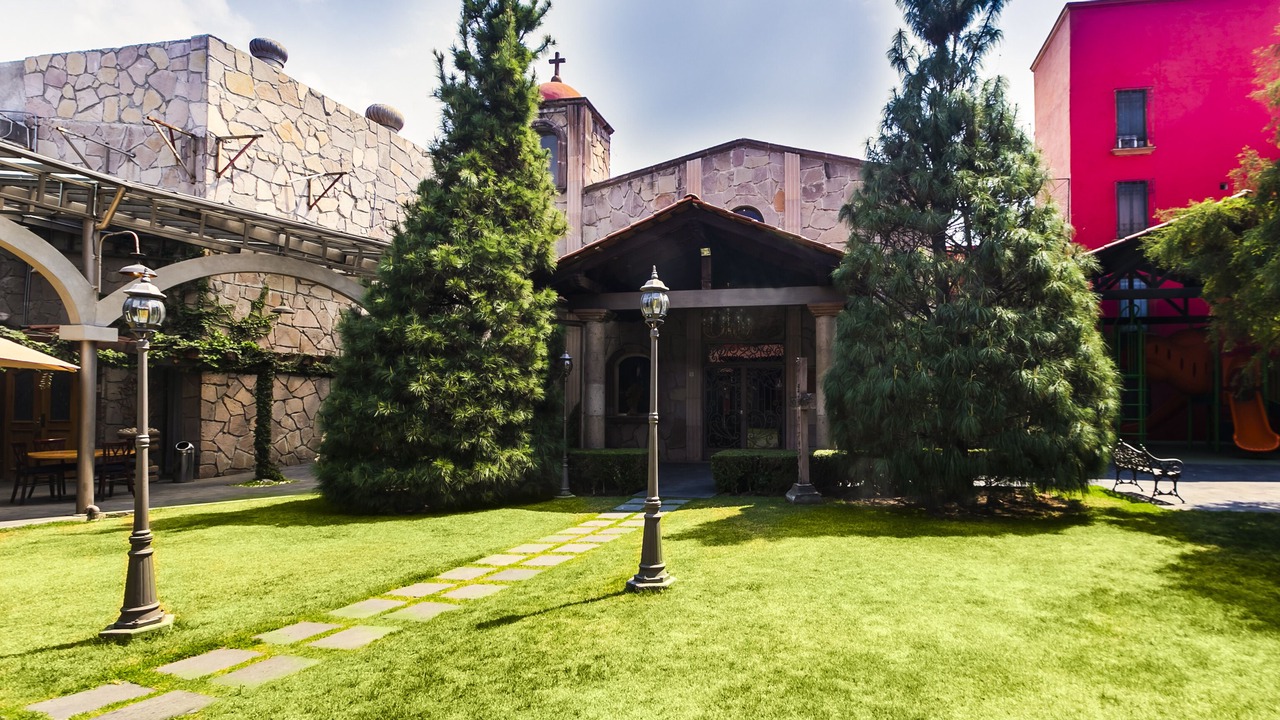 Photo of Others in Toluca