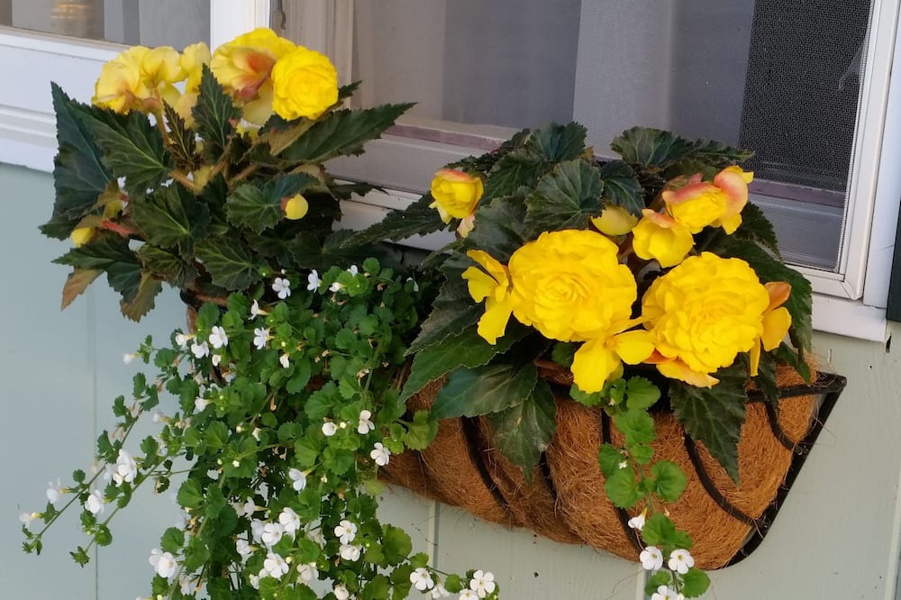 Photo of Outdoor in Woodstock