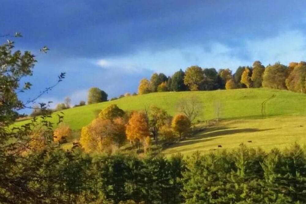 Photo of Others in Woodstock