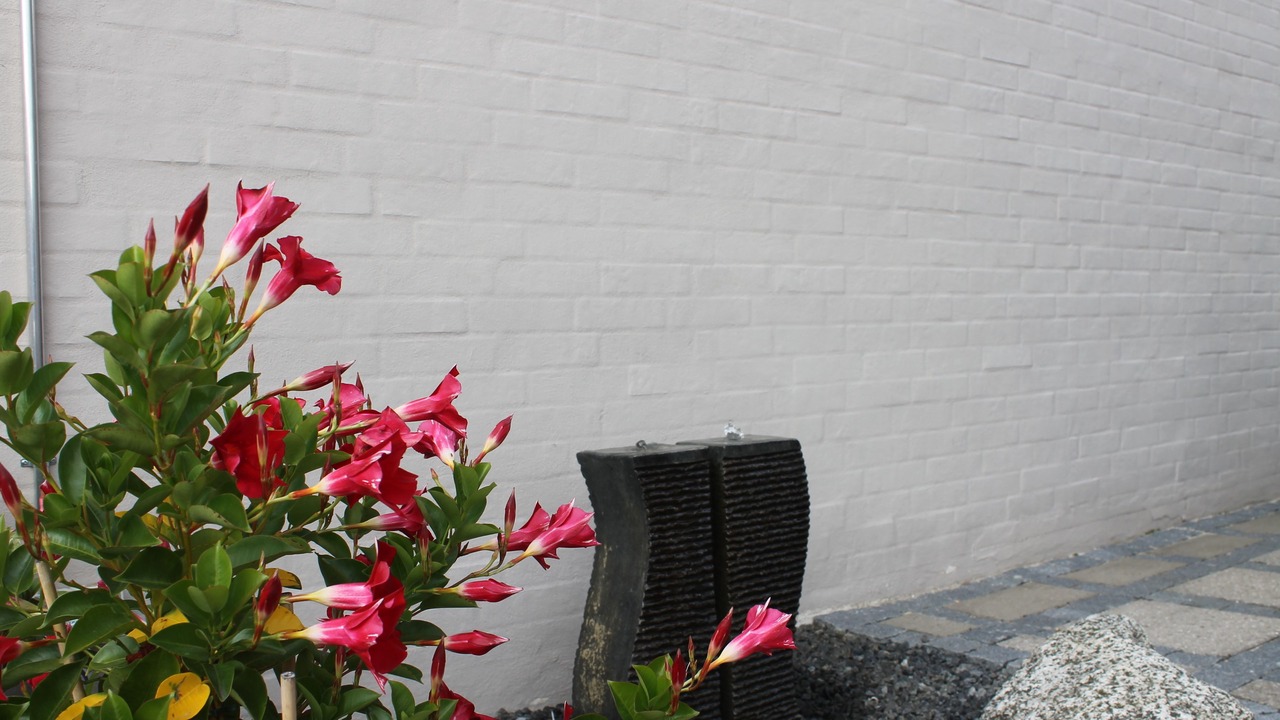 Photo of Bedroom in Odense
