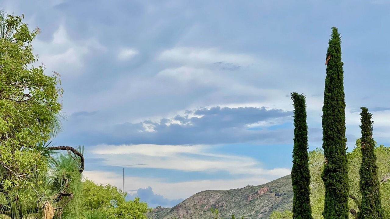 Photo of Others in Bisbee