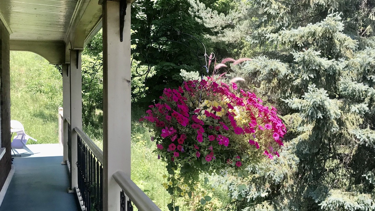 Photo of Outdoor in Chateau-Richer