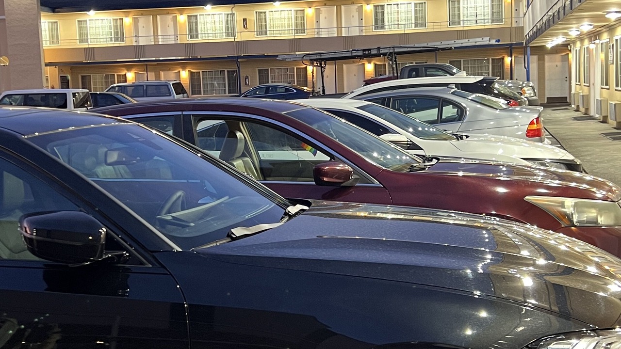 Photo of Others in Seattle
