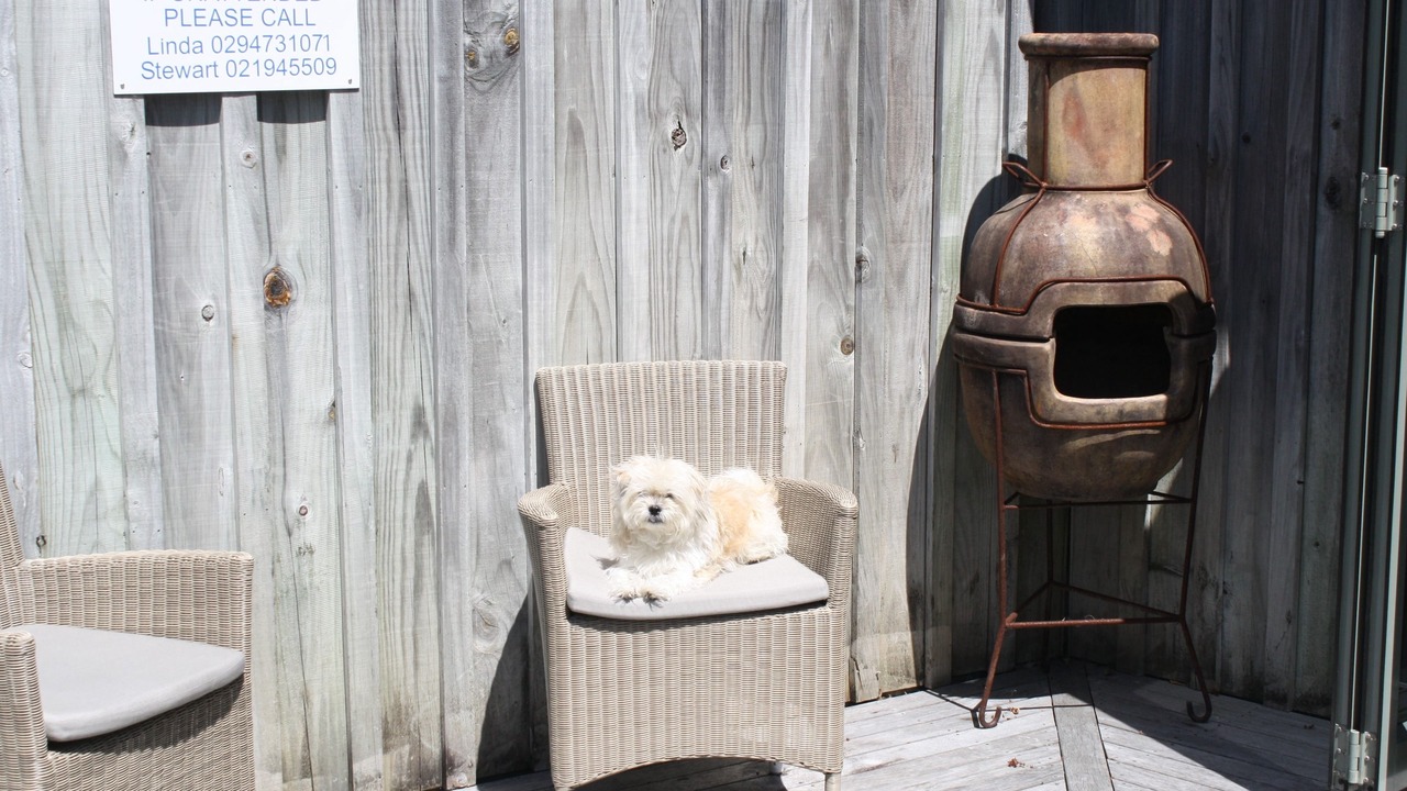 Photo of Outdoor in Mangawhai Heads