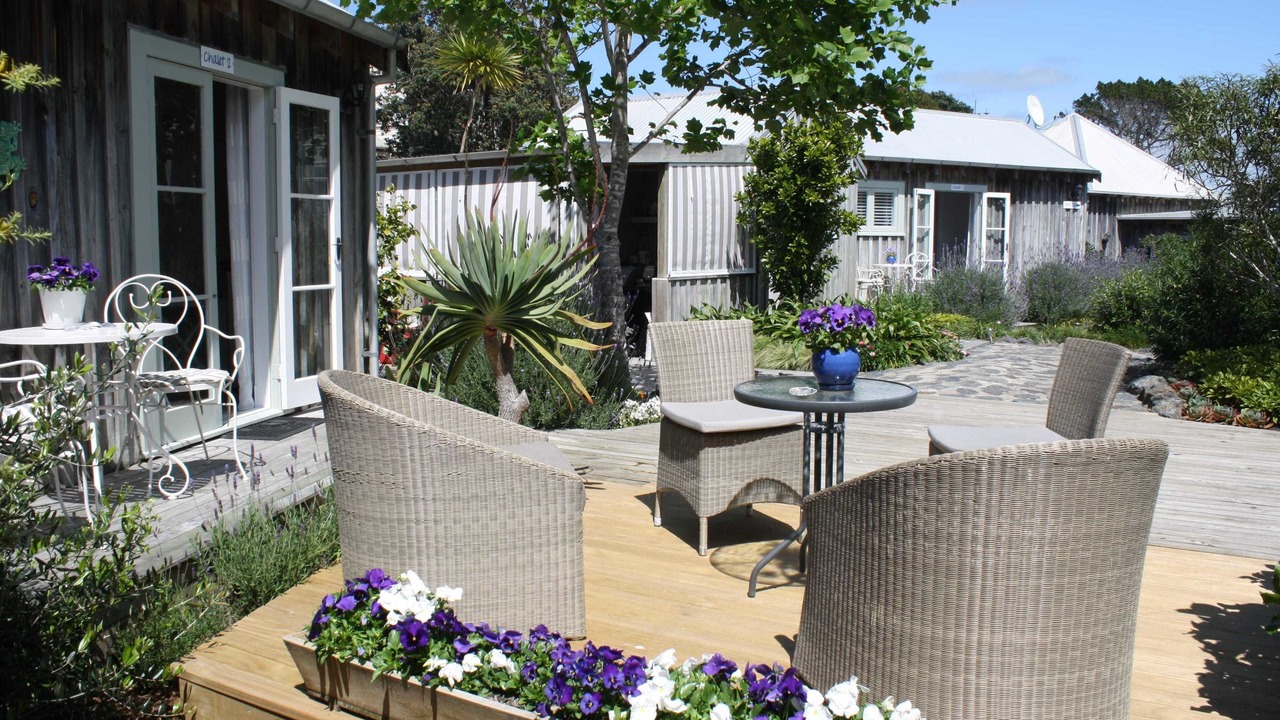 Photo of Others in Mangawhai Heads