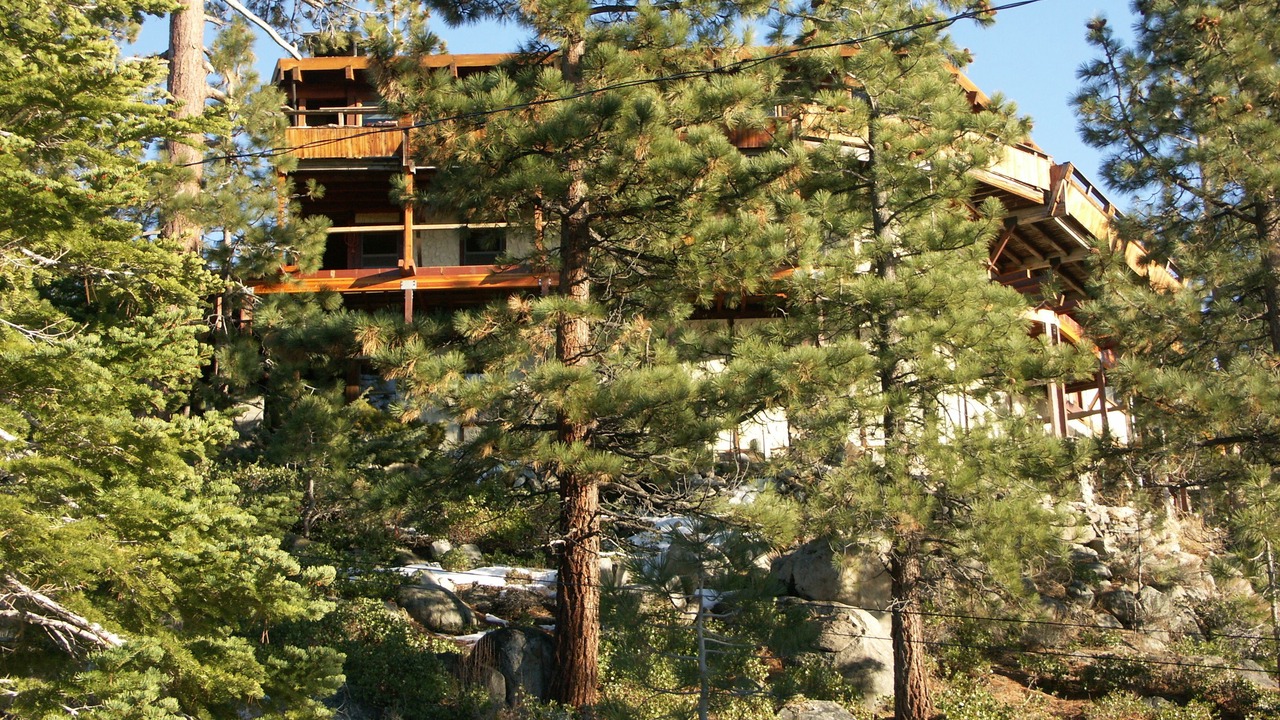 Photo of Outdoor in Zephyr Cove