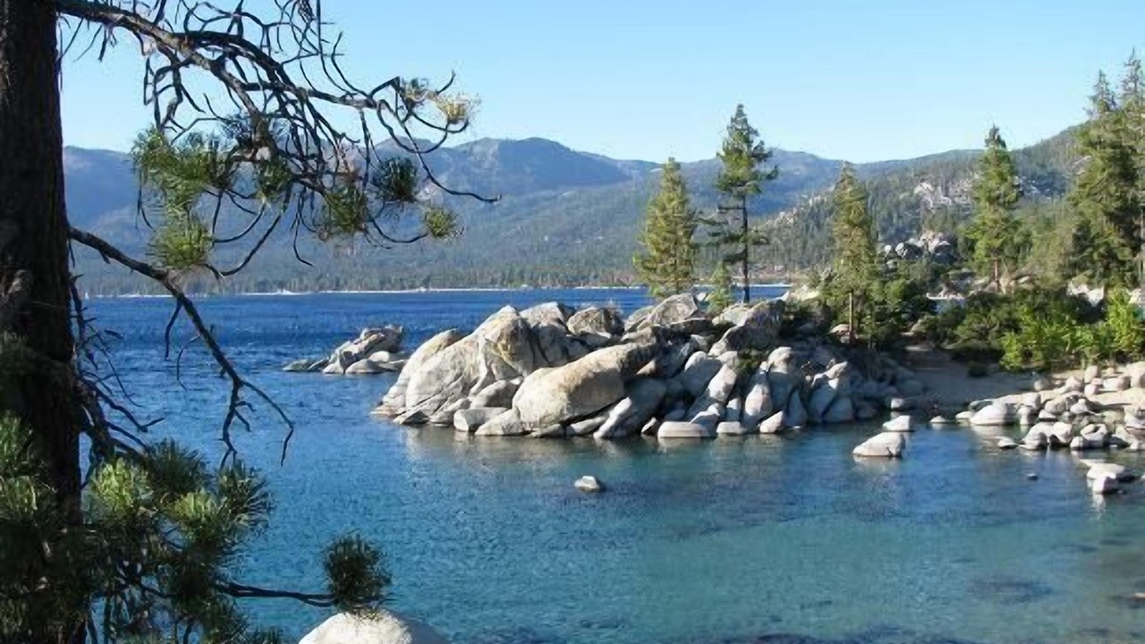 Photo of Others in Zephyr Cove