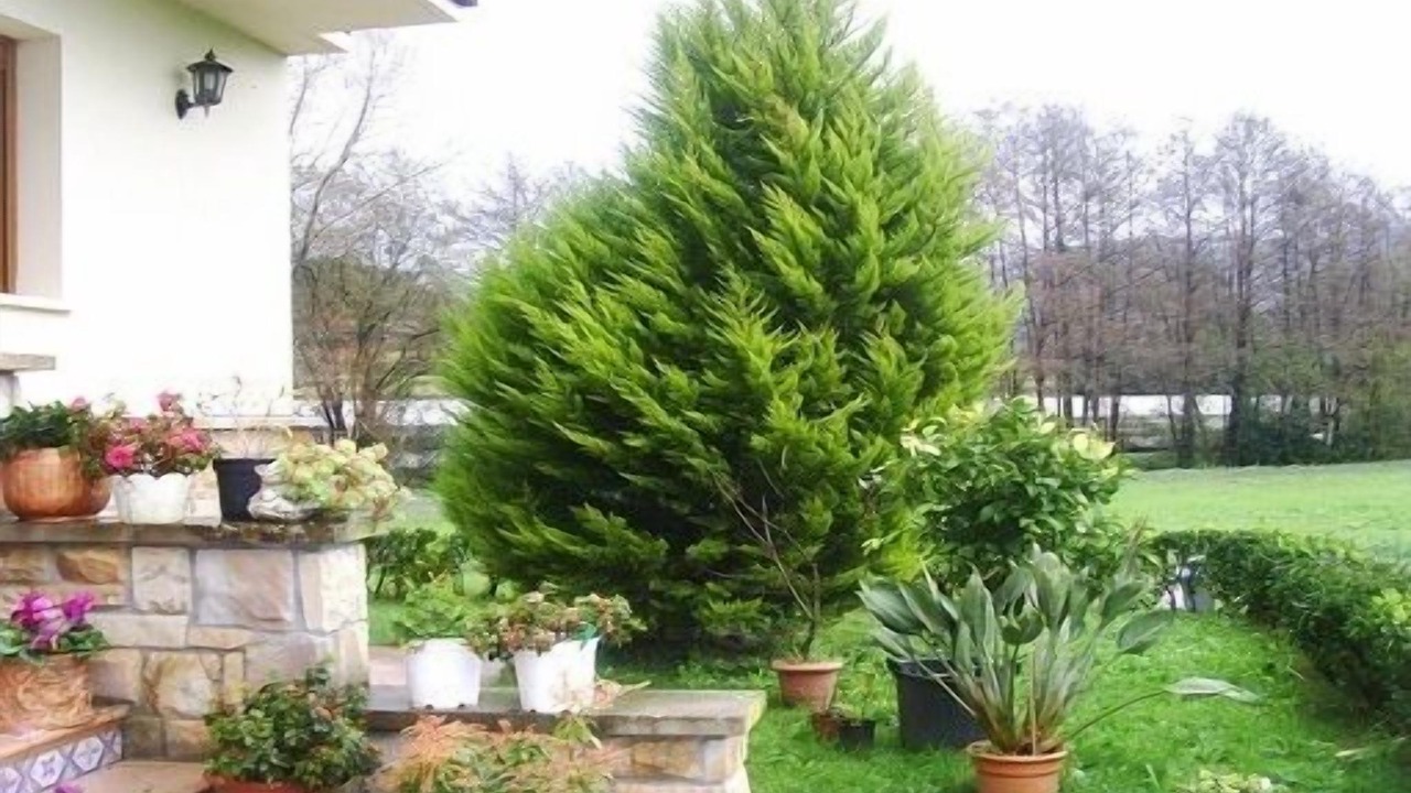 Photo of Outdoor in Larrauri-Markaida