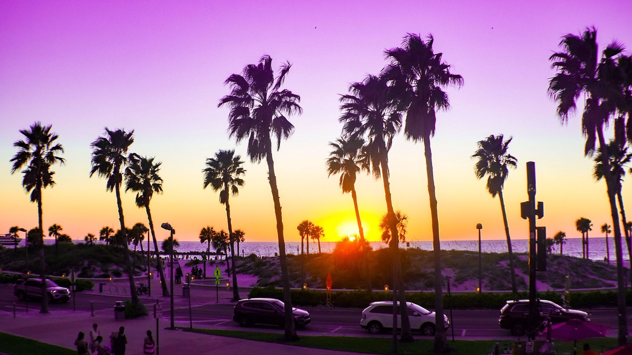 Photo of Others in Clearwater Beach