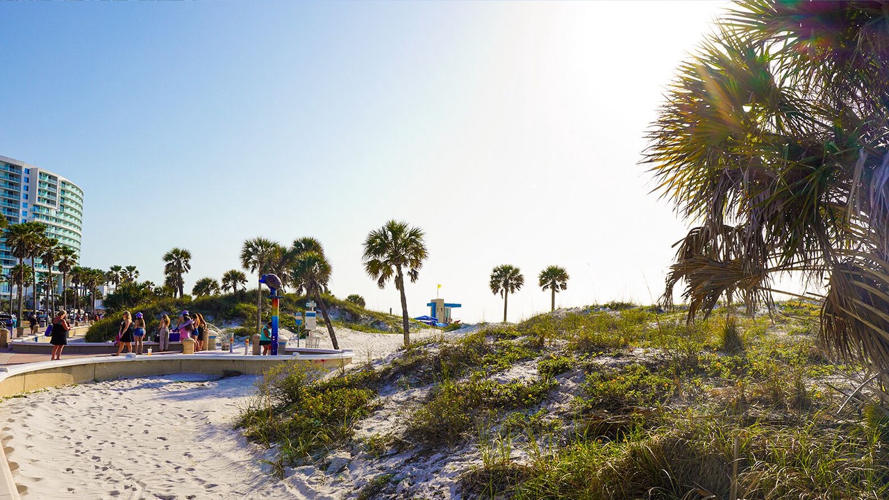 Photo of Others in Clearwater Beach
