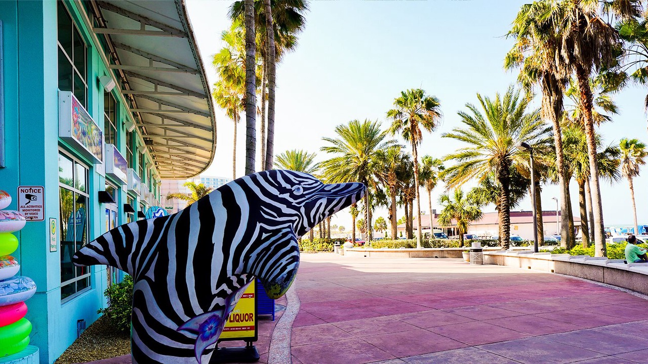 Photo of Others in Clearwater Beach