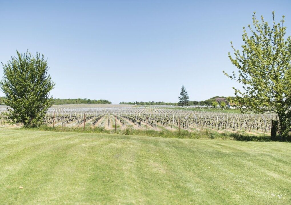 Photo of Others in Moulis-en-Medoc