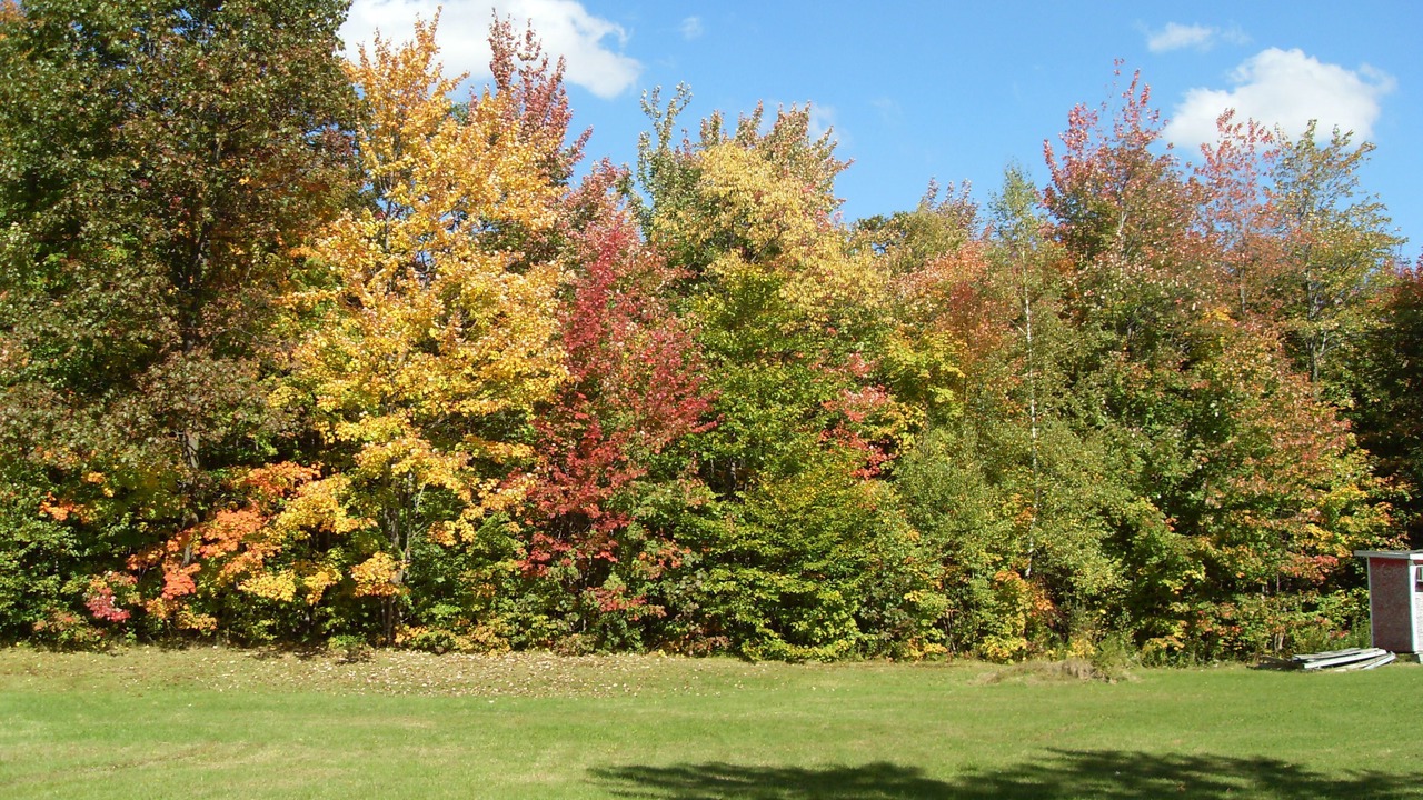 Photo of Outdoor in St. Jerome