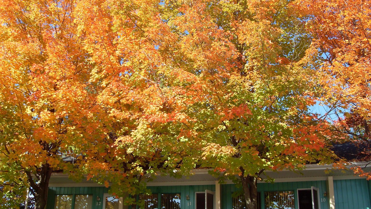 Photo of Outdoor in St. Jerome