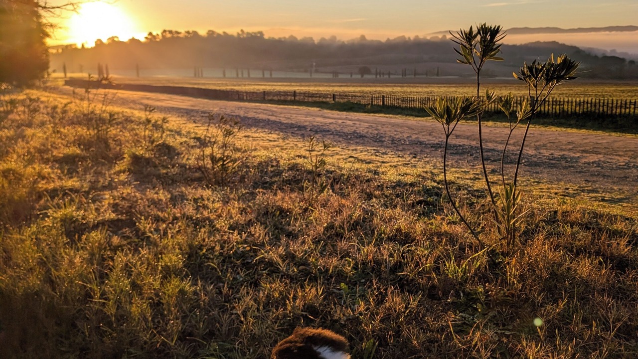 Photo of Others in Villalier