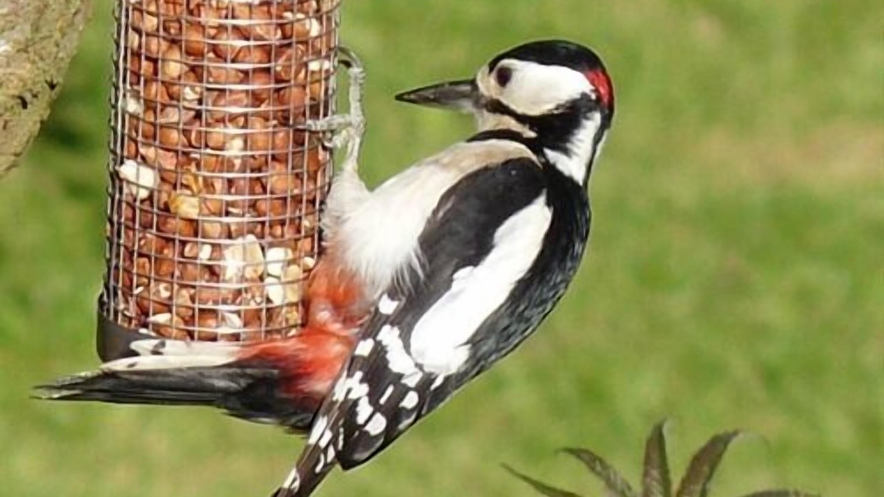 Photo of Others in Richmond