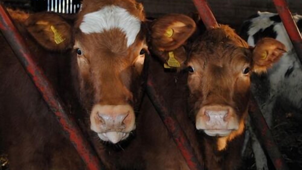 Photo of Others in Richmond