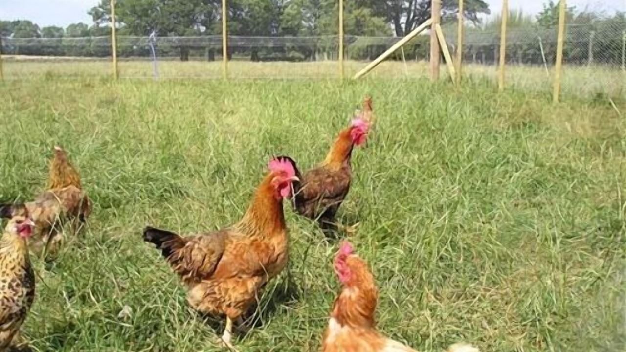 Photo of Others in Richmond