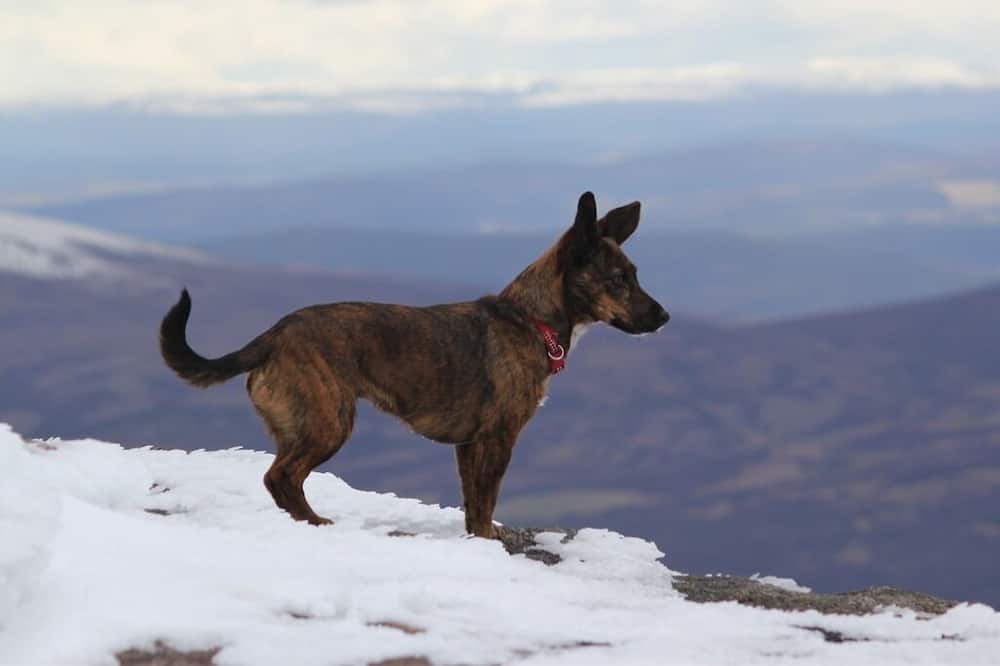 Photo of Others in Glenlivet