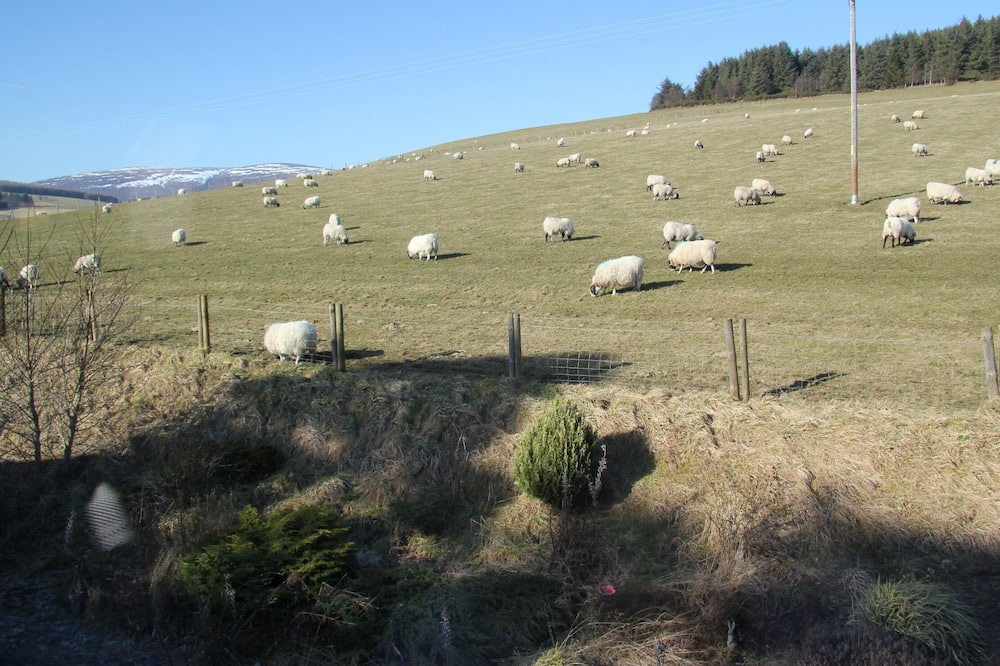 Photo of Others in Glenlivet