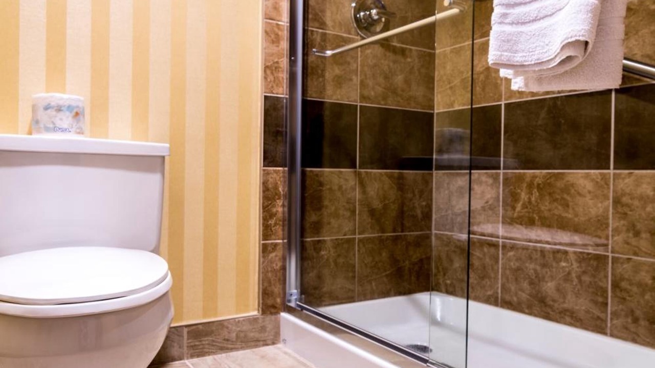 Photo of Others in Gander