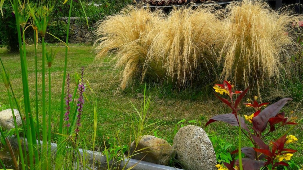 Photo of Outdoor in Saint-Pierre-de-Riviere