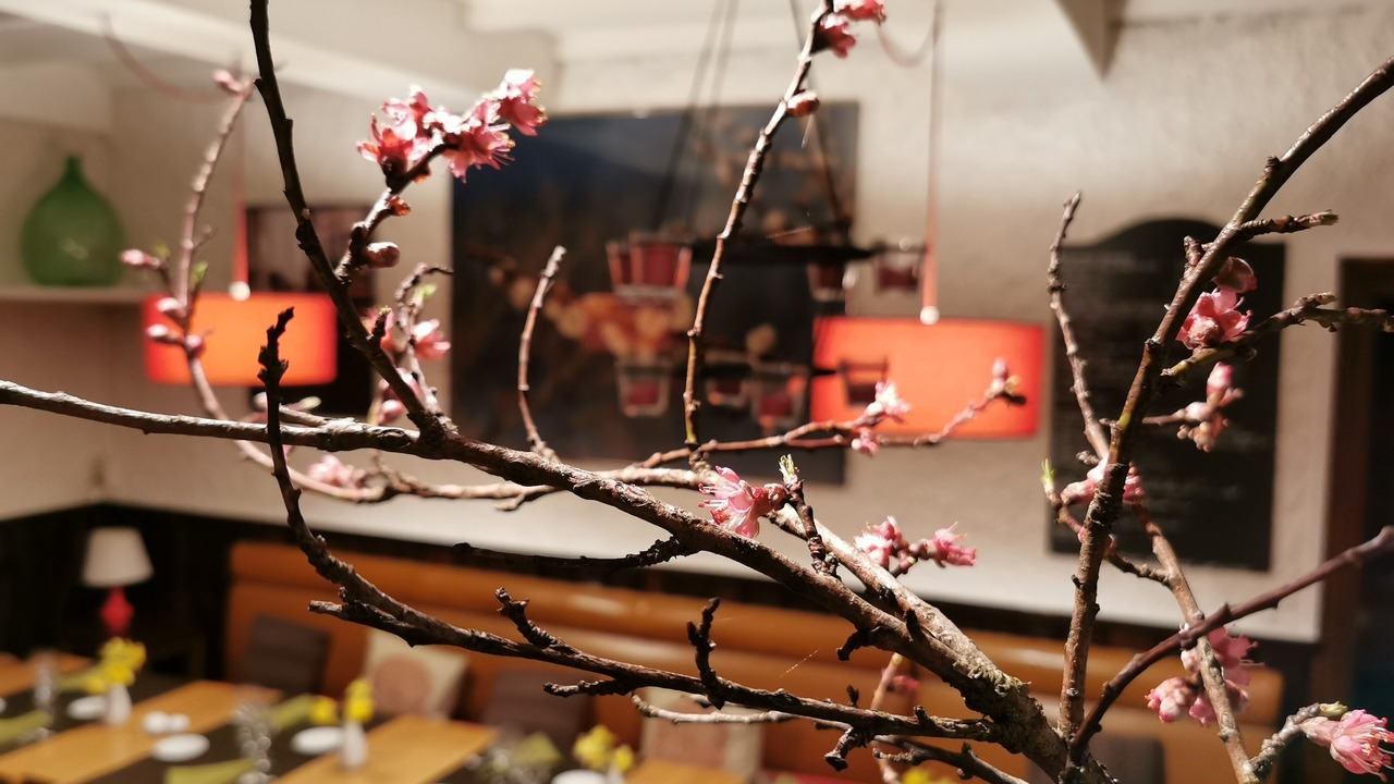 Photo of Others in Saint-Pierre-de-Riviere