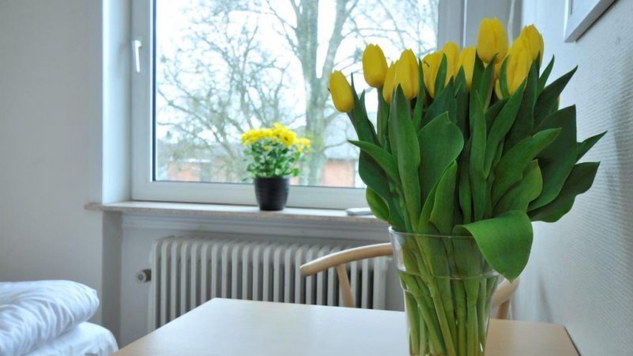 Photo of Others in Skygge