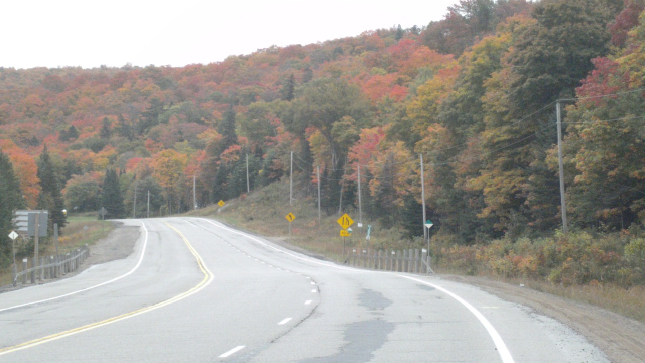 Photo of Outdoor in Iron Bridge