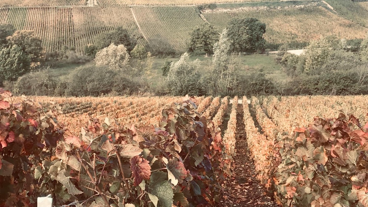 Photo of Outdoor in Arsonval