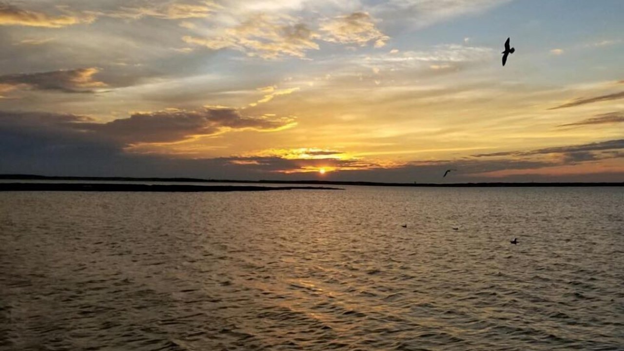 Photo of Others in Midtown Ocean City