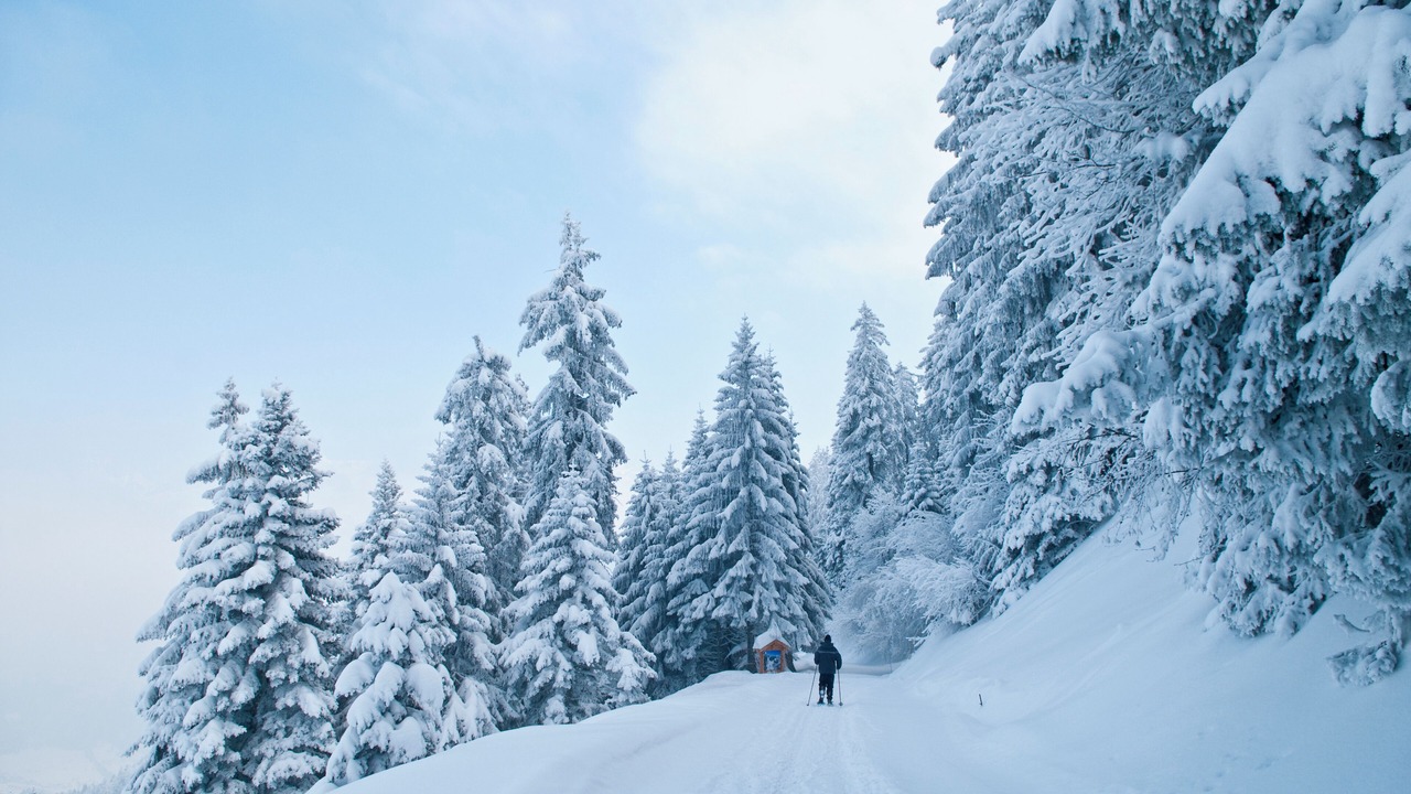 Photo of Others in Monthey