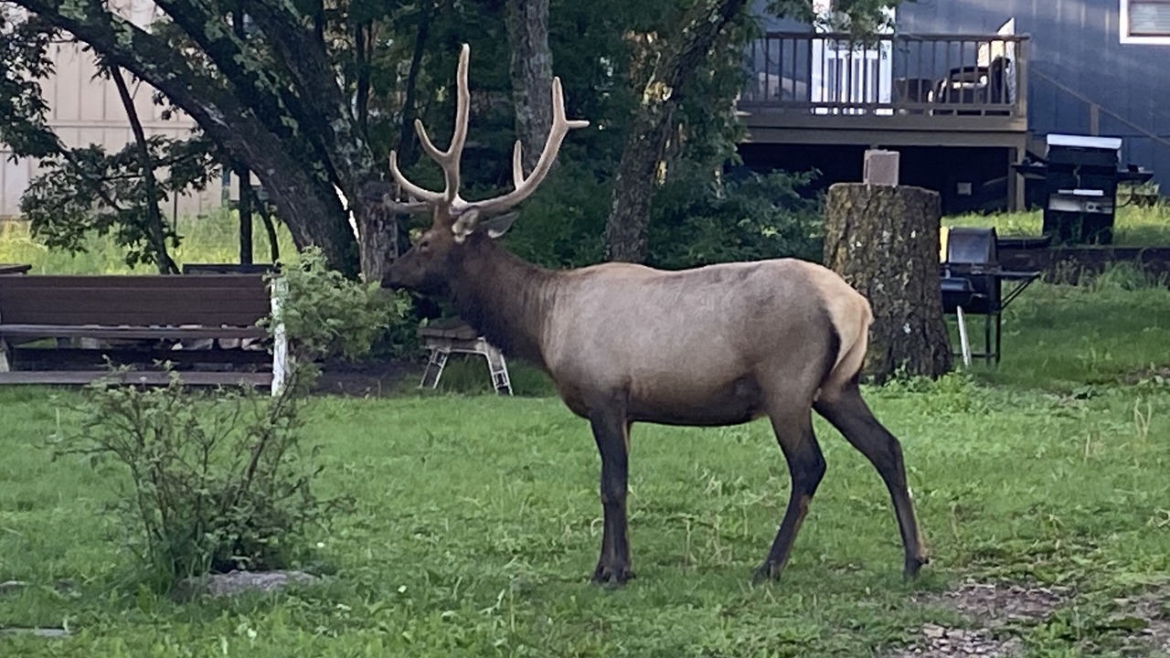 Photo of Outdoor in Cloudcroft