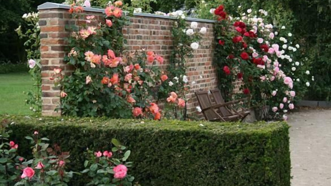 Photo of Outdoor in Lem