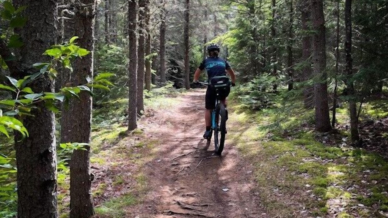 Photo of Others in La Malbaie