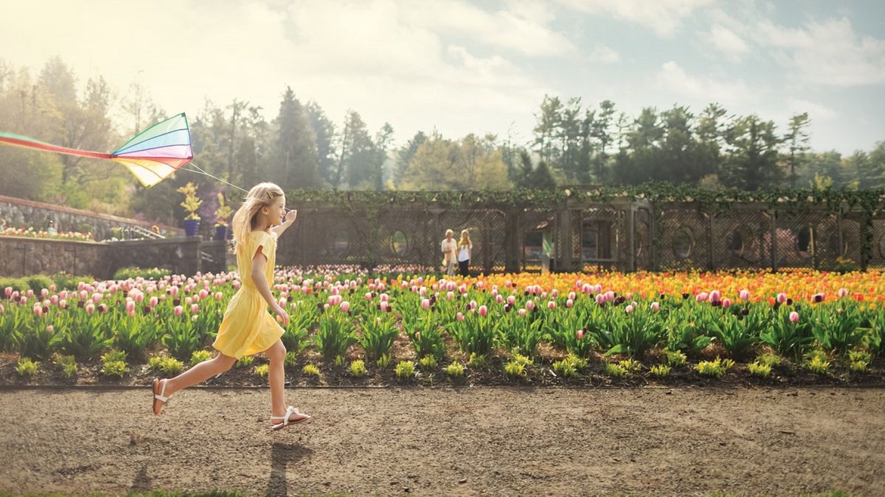 Photo of Outdoor in Asheville