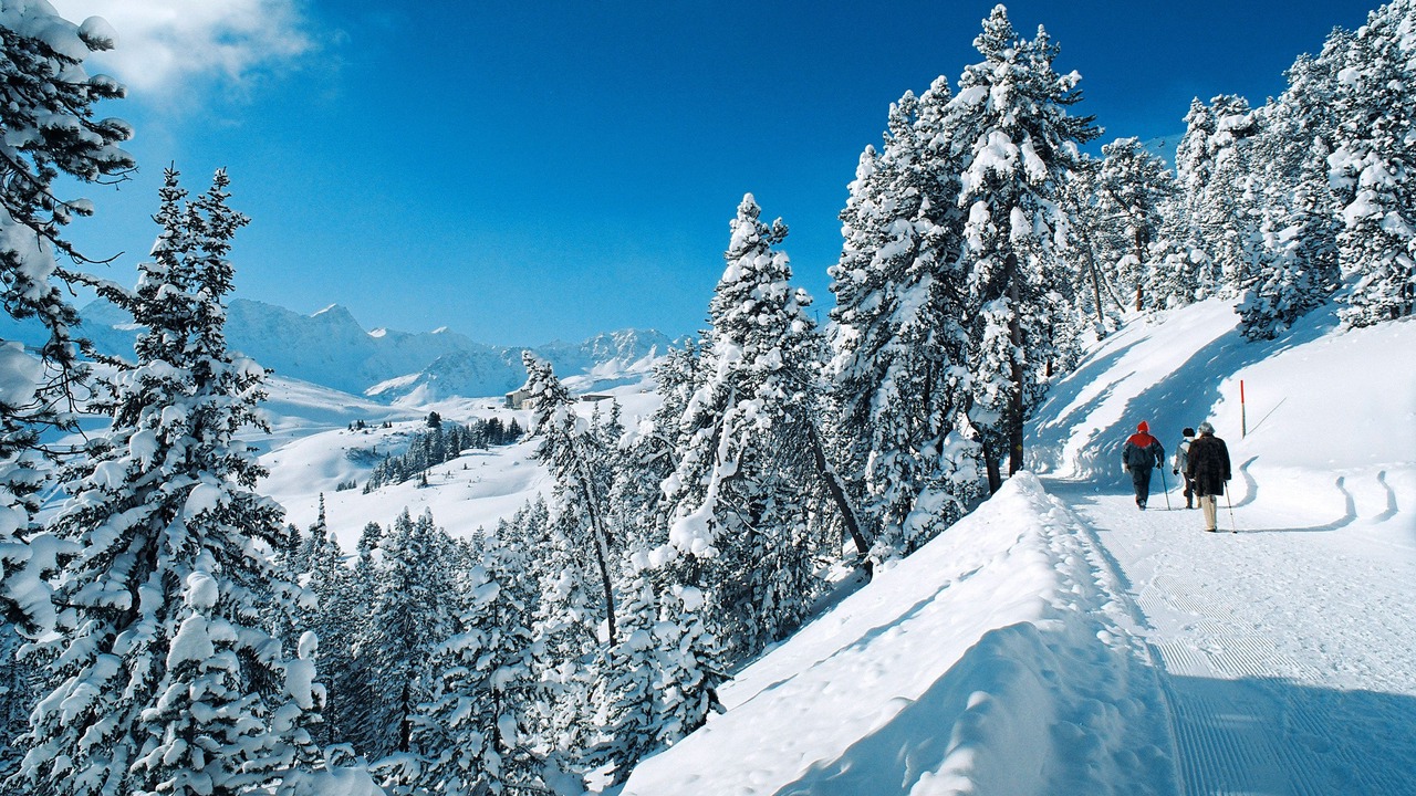 Photo of Others in Arosa