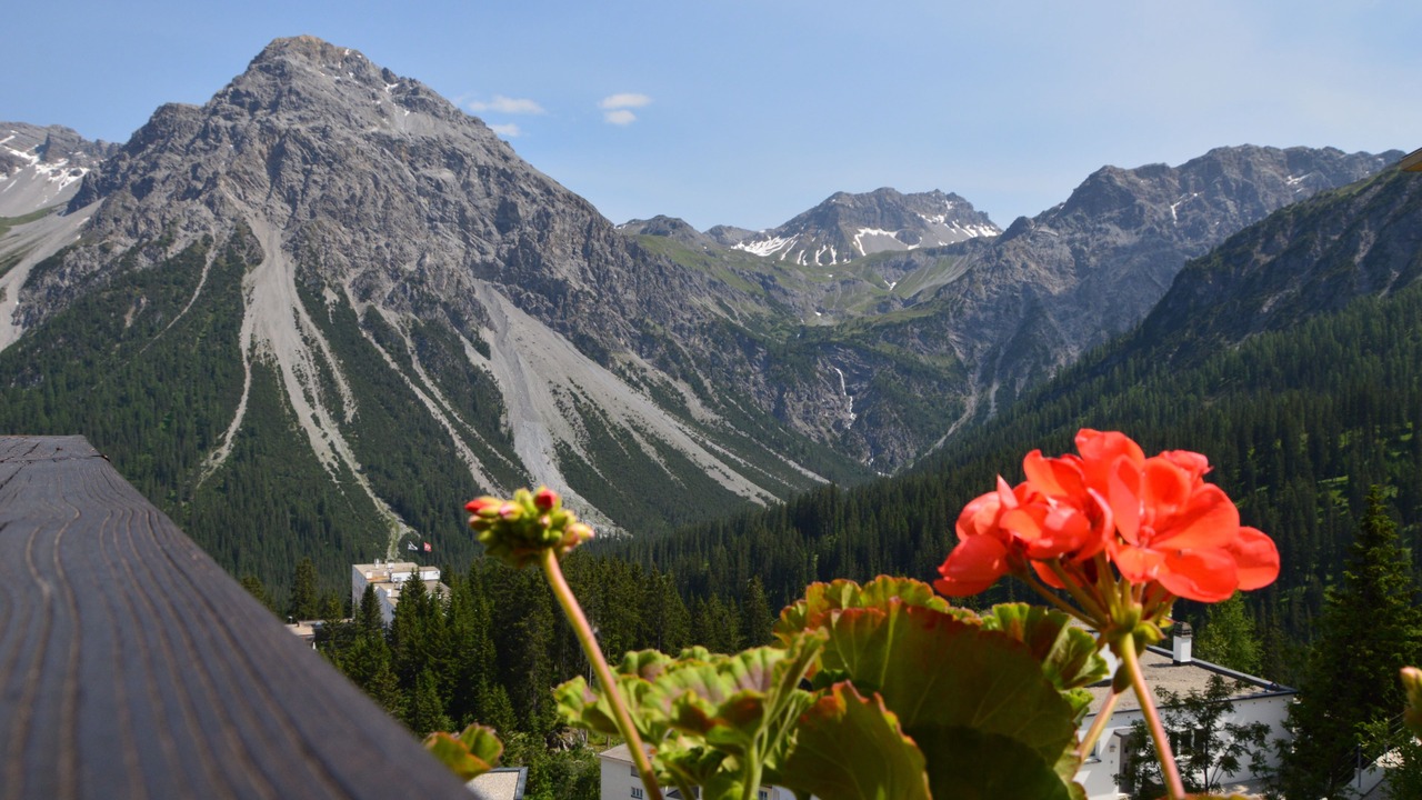 Photo of Patio Balcony in Arosa