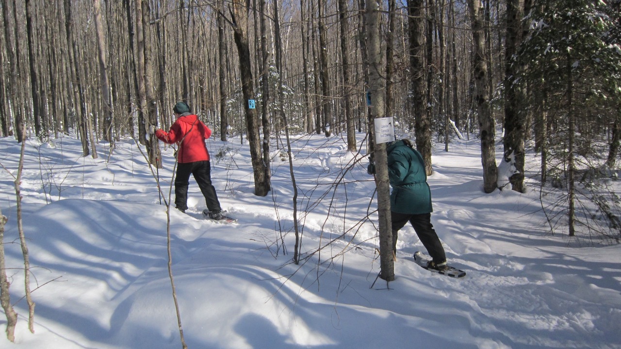 Photo of Others in Haliburton