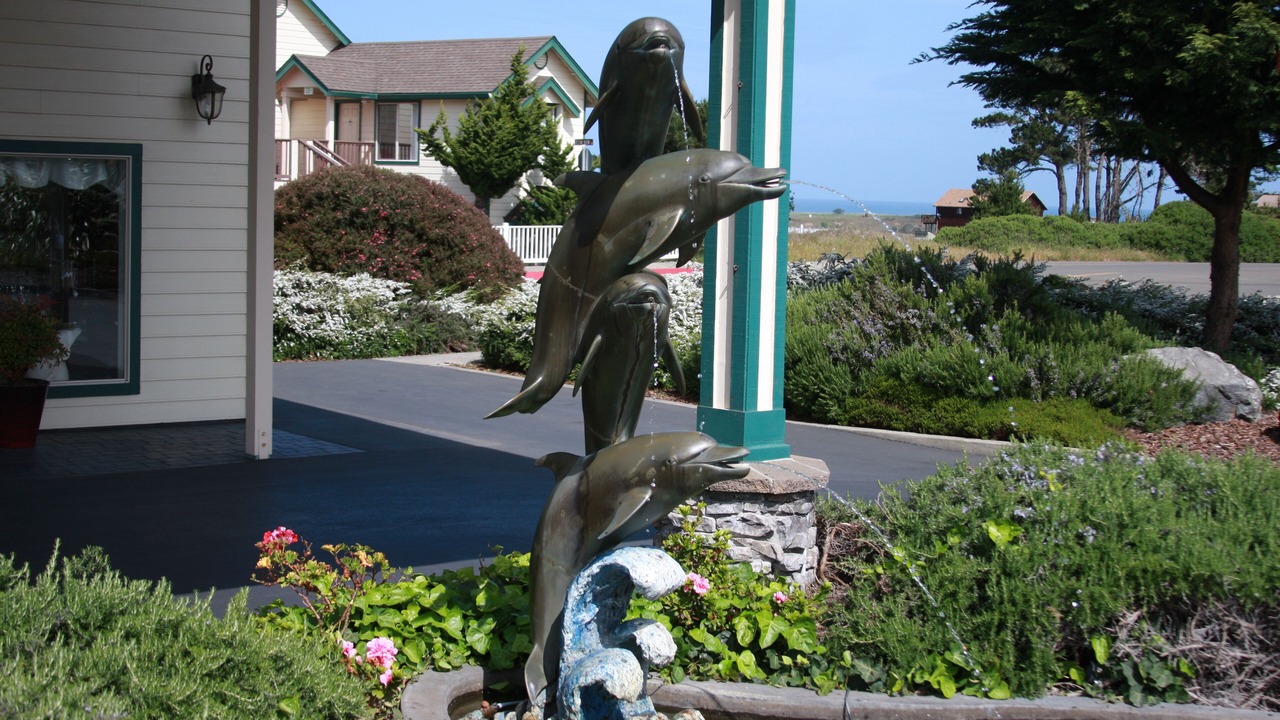 Photo of Outdoor in Fort Bragg