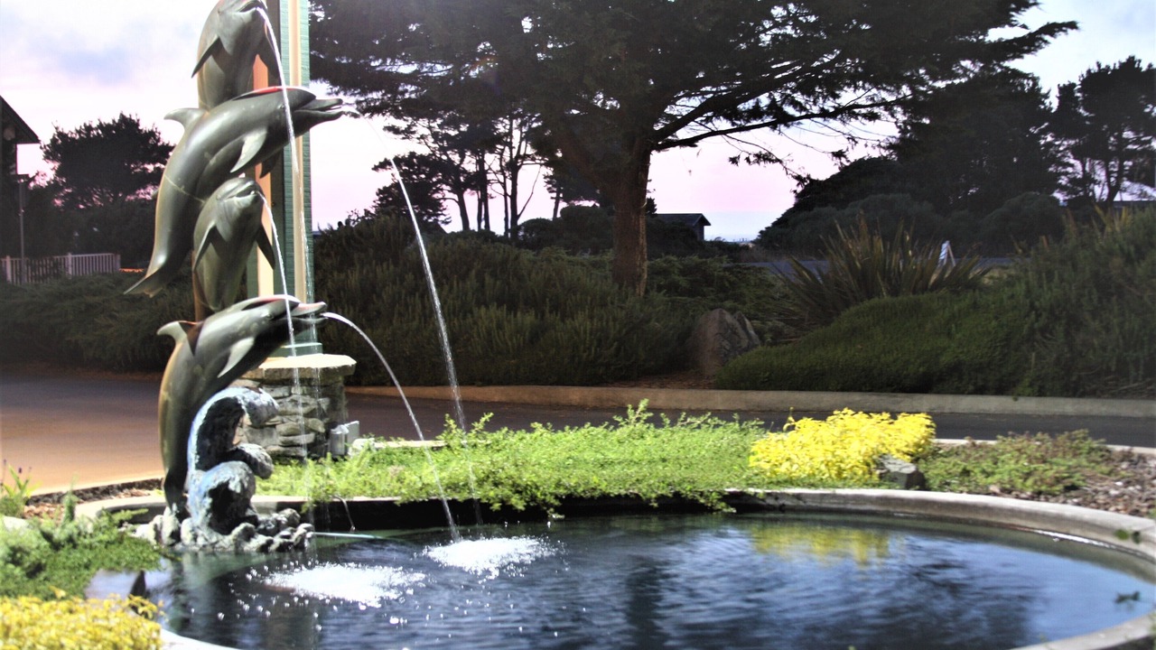 Photo of Outdoor in Fort Bragg
