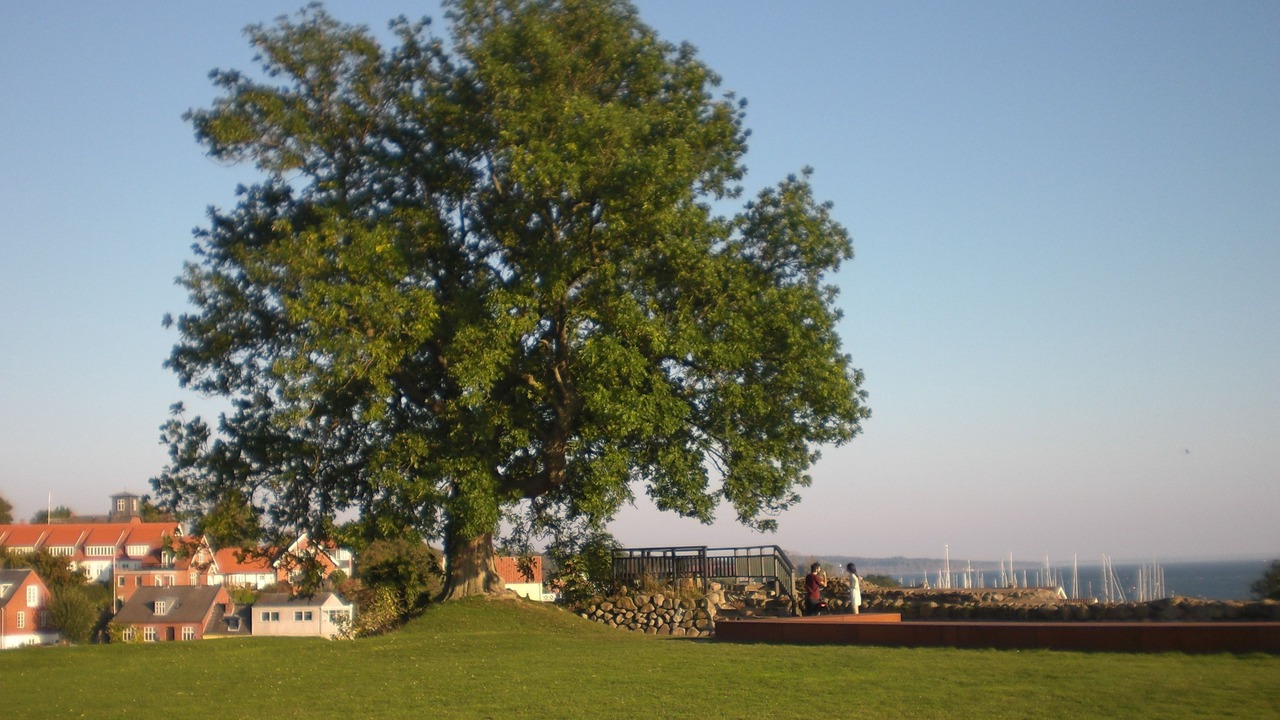 Photo of Others in Vordingborg