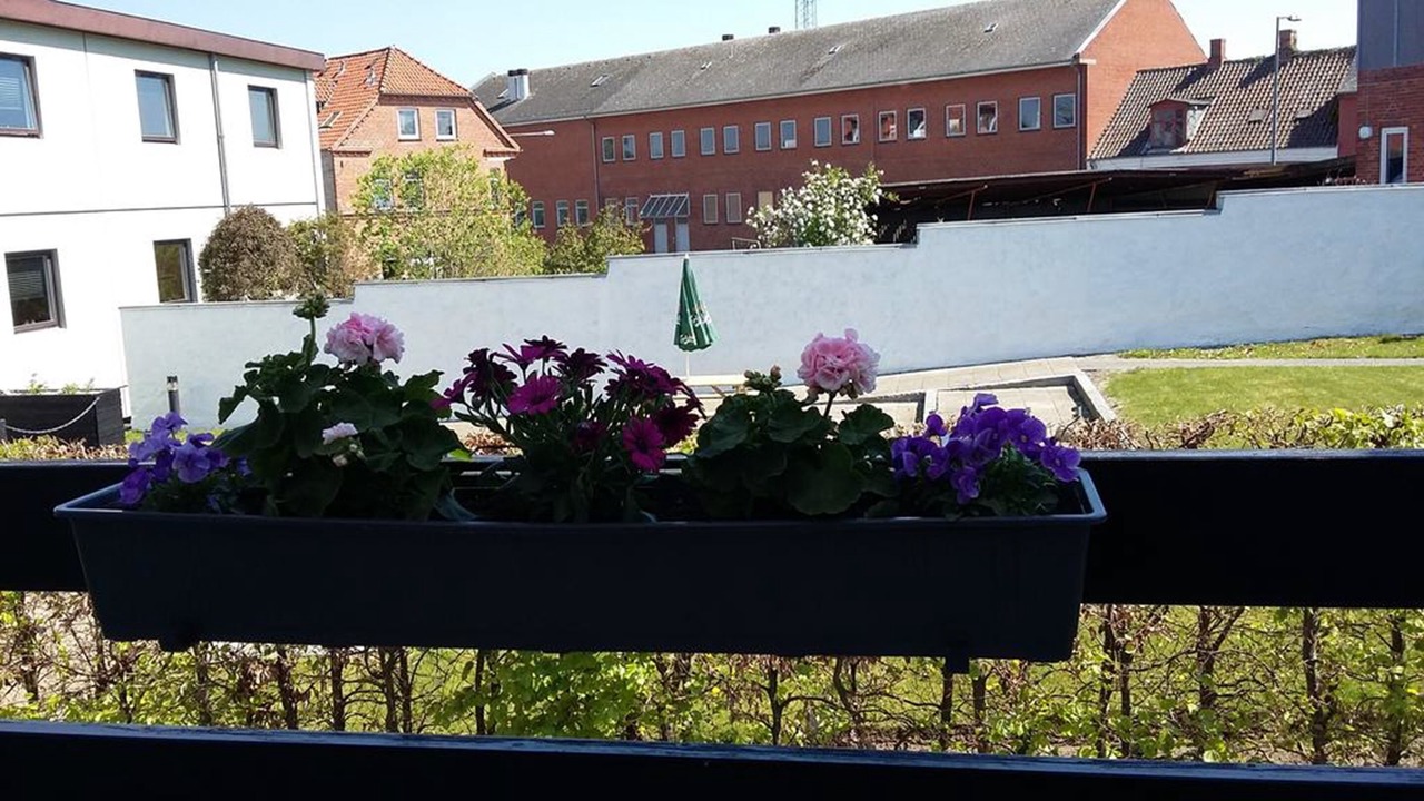 Photo of Outdoor in Vordingborg