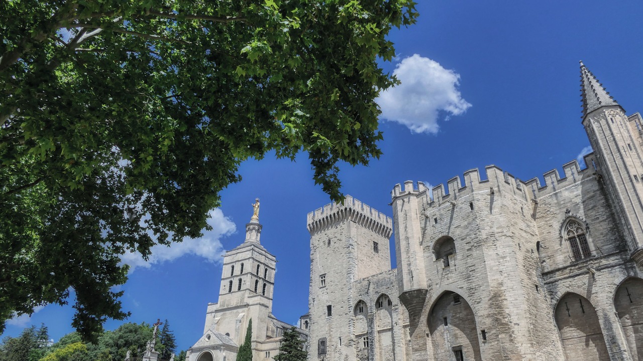 Photo of Others in Avignon City Centre
