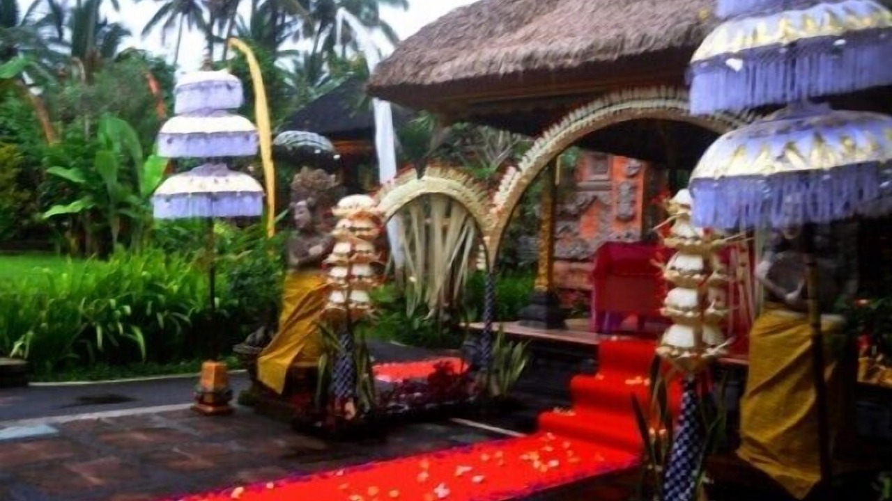 Photo of Outdoor in Tua