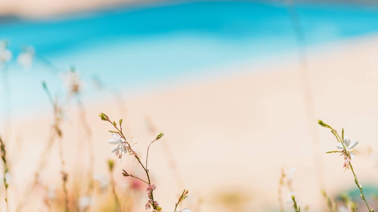 Photo of Outdoor in Villalbe